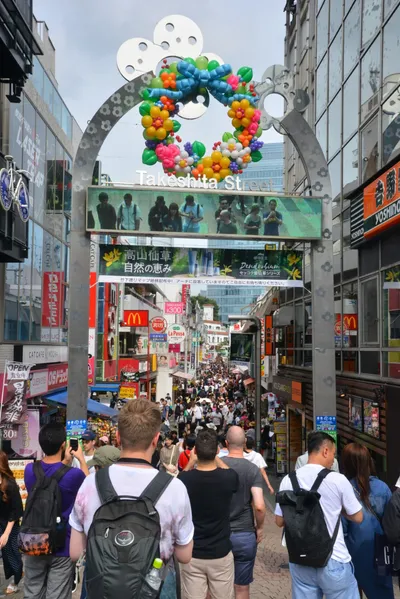 DSC_3581 (Large).JPG